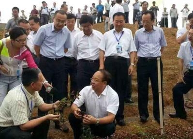 副省长刘远坤莅临威门药业头花蓼种植基地调研观摩